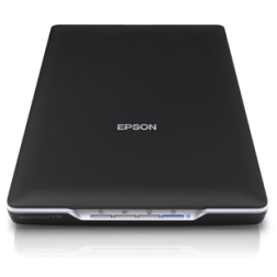 SCANNER EPSON PERFECTION V19