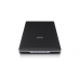 SCANNER EPSON PERFECTION V19