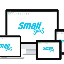 SMALL SAAS 100% online