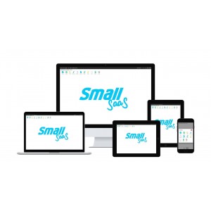 SMALL SAAS 100% online